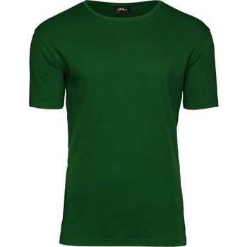 Vêtements Homme T-shirts manches courtes Tee Jays TJ520 Vert