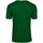 Vêtements Homme T-shirts manches courtes Tee Jays Interlock Vert