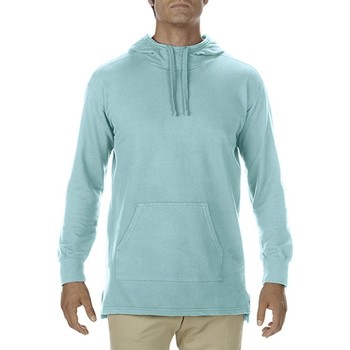 Vêtements Homme Sweats Comfort Colors CC1535 Bleu
