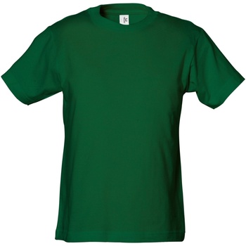 Vêtements Garçon T-shirts manches courtes Tee Jays TJ1100B Vert