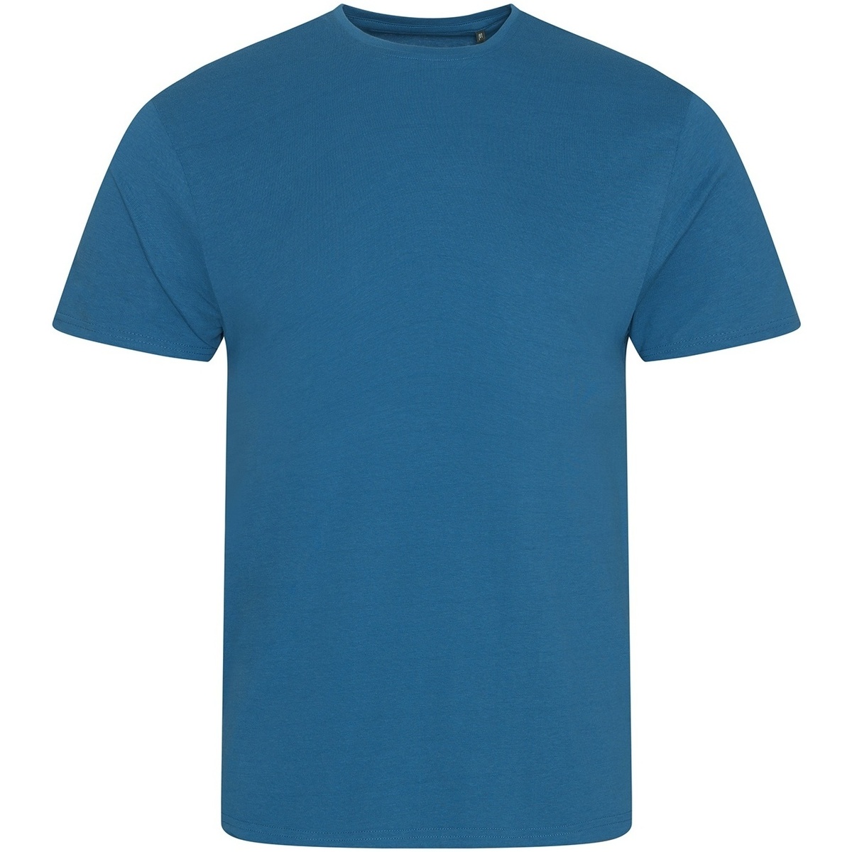 Vêtements Enfant T-shirts manches courtes Ecologie Cascade Bleu