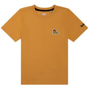 Tee shirt junior  Legend camel  T25S87 - 12 ANS