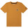 Vêtements Enfant T-shirts & Polos Timberland Tee shirt junior  Legend camel  T25S87 Marron