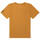 Vêtements Enfant T-shirts & Polos Timberland Tee shirt junior  Legend camel  T25S87 - 12 ANS Marron