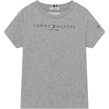 Vêtements Garçon T-shirts manches courtes Tommy Hilfiger Tee Shirt Garçon manches courtes Gris