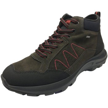Chaussures Homme Fitness / Training Sioux  Marron