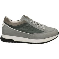 Chaussures Homme Baskets basses Alberto Guardiani ORACLE 0067 LOW Gris