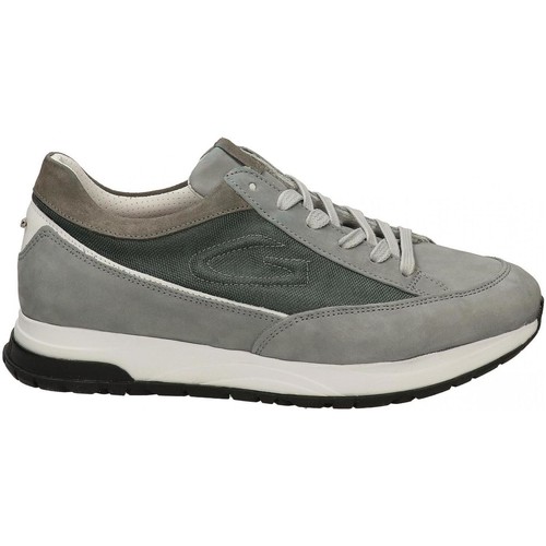 Chaussures Natural Baskets mode Alberto Guardiani ORACLE 0067 LOW Gris