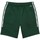 Vêtements Homme Shorts / Bermudas Lacoste Short en molleton  Ref 55342 132 Vert Vert