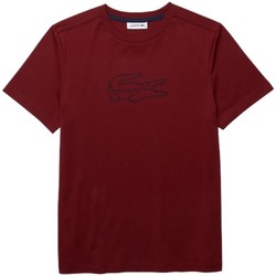 Vêtements Femme T-shirts manches courtes Lacoste T shirt  Femme Col Rond Ref 54790 J9P Bordeaux Rouge
