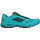 Chaussures Femme Running / trail Salomon Luvas X Alpine Pro Wn's Bleu