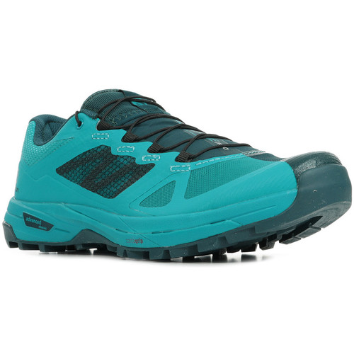 Chaussures Femme Running / trail Salomon ebony X Alpine Pro Wn's Bleu