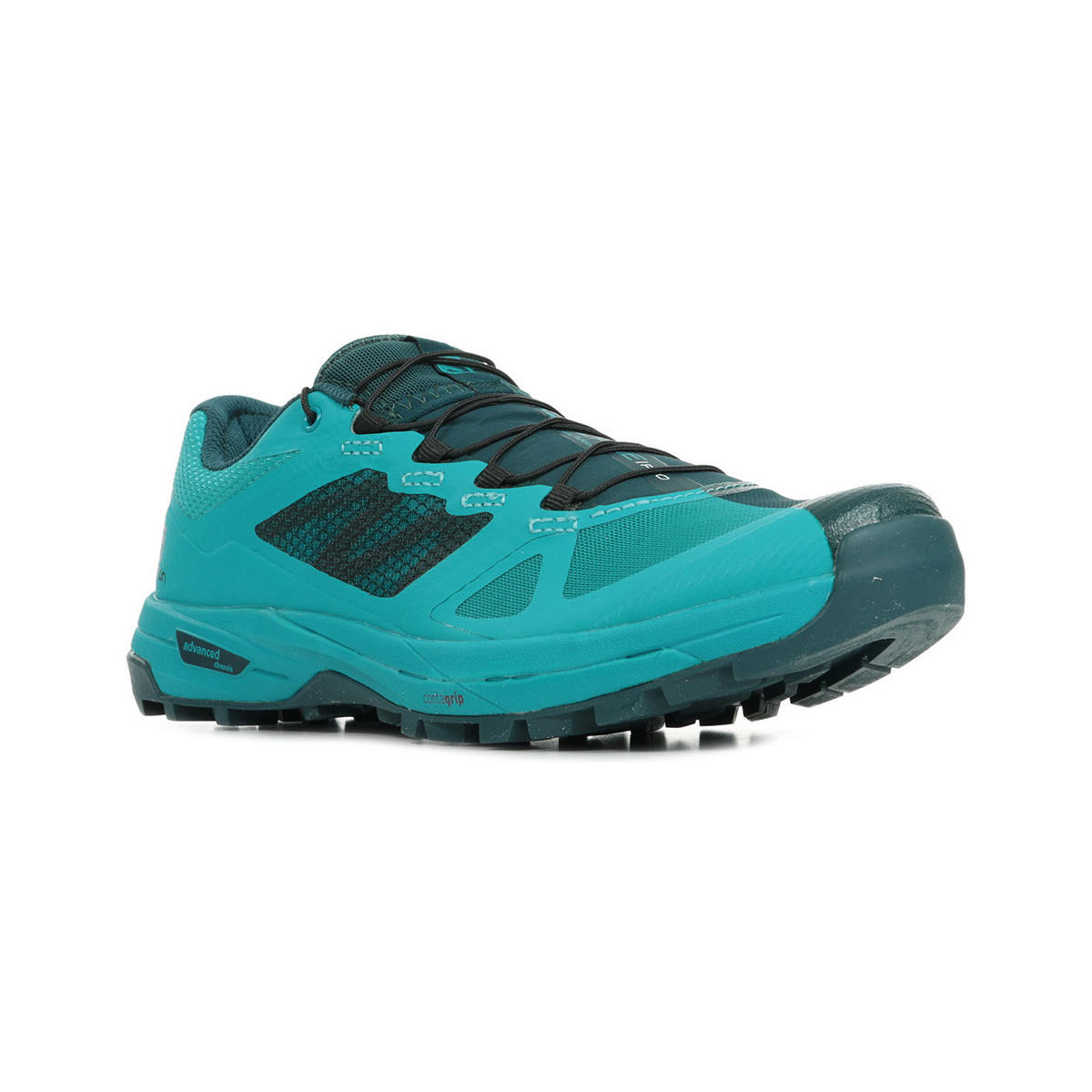 Chaussures Femme Running / trail Salomon X Alpine Pro Wn's Bleu