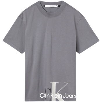 Vêtements Homme T-shirts & Polos Calvin Klein Jeans J30J319719 Gris