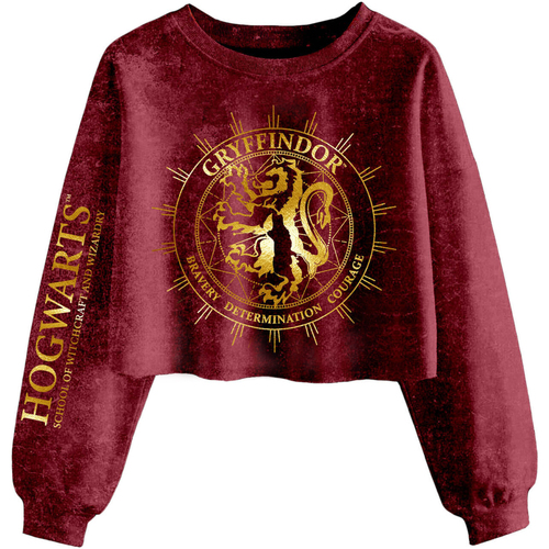 Vêtements Femme Sweats Harry Potter Gryffindor Constellation Multicolore