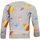 Vêtements Garçon Sweats Hey Duggee Squirrel Club Multicolore