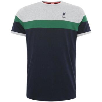 Vêtements Homme T-shirts manches courtes Liverpool Fc  Vert