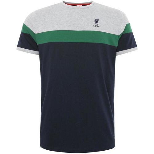 Vêtements Homme T-shirts manches longues Liverpool Fc TA7880 Vert