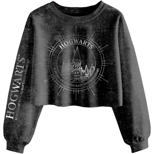 Vêtements Femme Sweats Harry Potter Hogwarts Constellation Noir