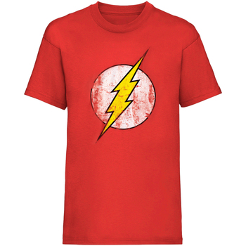 Vêtements T-shirts manches longues Flash HE380 Multicolore