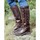 Chaussures Femme Bottes Brogini Winchester Multicolore