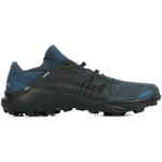 The Salomon Trailster 2 and