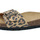 Chaussures Femme Sandales et Nu-pieds Billowy 8101C05 Marron