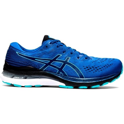 Chaussures Homme Running / trail Asics Tableaux / toiles Bleu