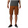 Vêtements Homme Shorts yaf / Bermudas Columbia Silver Ridge II Cargo Marron