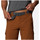 Vêtements Homme Shorts / Bermudas Columbia Silver Ridge II Cargo Marron