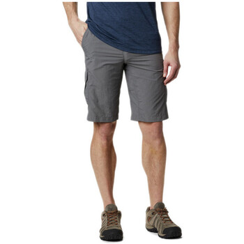 Vêtements Homme Shorts / Bermudas Columbia Short Gris