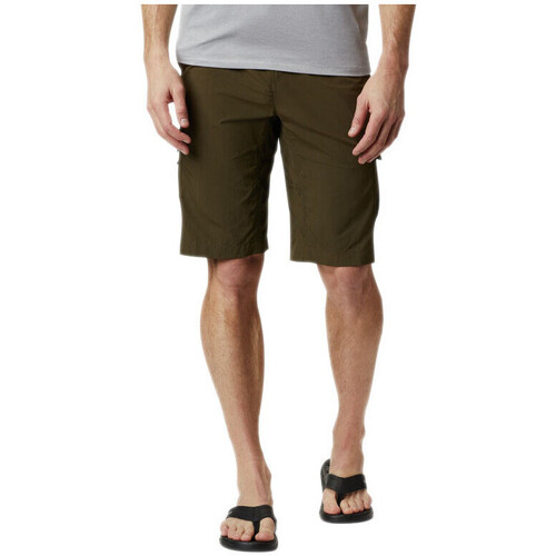 Vêtements Homme Shorts / Bermudas Columbia Silver Ridge II Cargo Vert