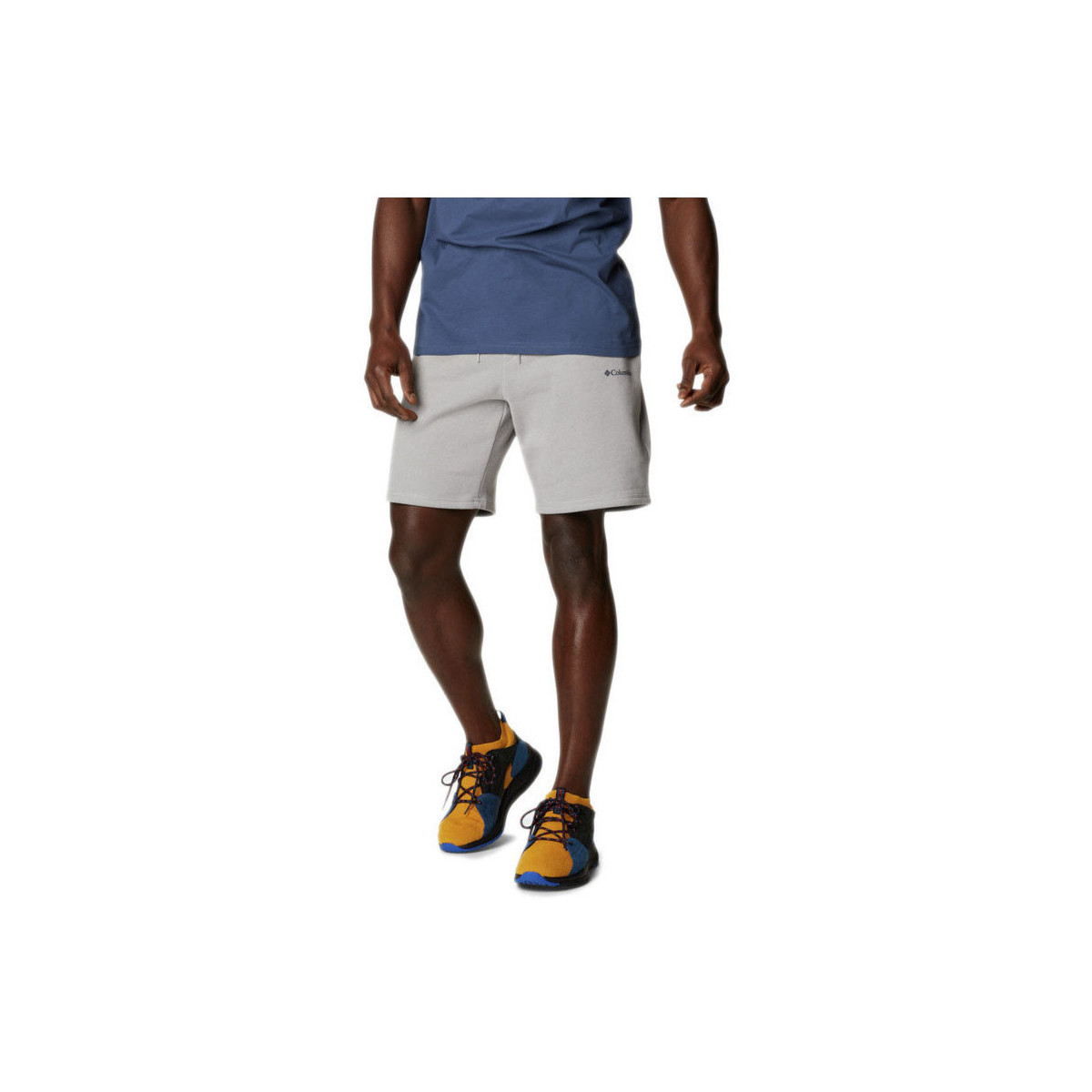 Vêtements Homme Shorts / Bermudas Columbia LOGO FLEECE Gris