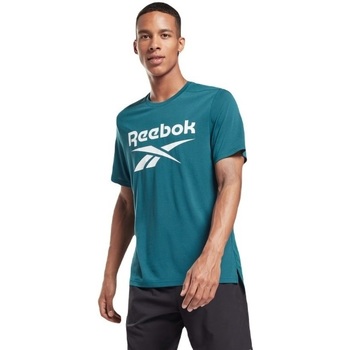 Vêtements Homme Débardeurs / T-shirts sans manche Reebok Sport Workout Ready Supremium Graphic Vert