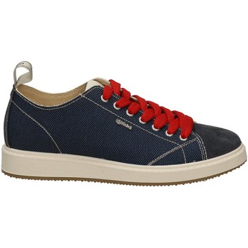 Chaussures Homme Baskets mode IgI&CO UNG 16191 Bleu