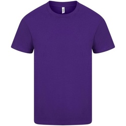 Vêtements Homme T-shirts manches longues Casual Classics AB261 Violet