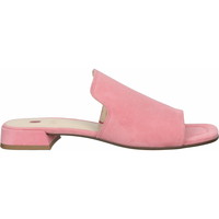 Chaussures Femme Mules Högl Mules Rose