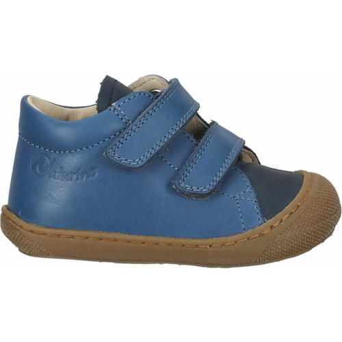 Chaussures Garçon Chaussons bébés Naturino Derbies Bleu