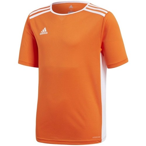Vêtements Garçon T-shirts manches courtes adidas Originals Entrada 18 Orange