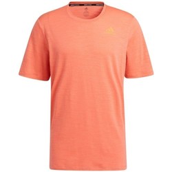 Vêtements Homme T-shirts manches courtes sticks adidas Originals City Elevated Tee Orange