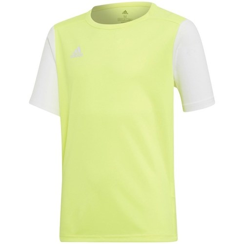 Vêtements Garçon T-shirts manches courtes directory adidas Originals Junior Estro 19 Vert clair, Blanc