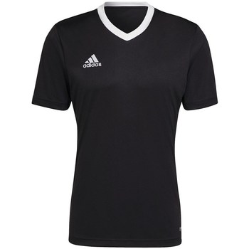 Vêtements Homme T-shirts manches courtes voetbal adidas Originals Entrada 22 Noir