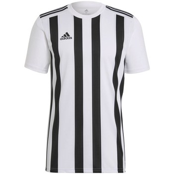Vêtements Homme T-shirts manches courtes adidas Originals Striped 21 Noir, Blanc