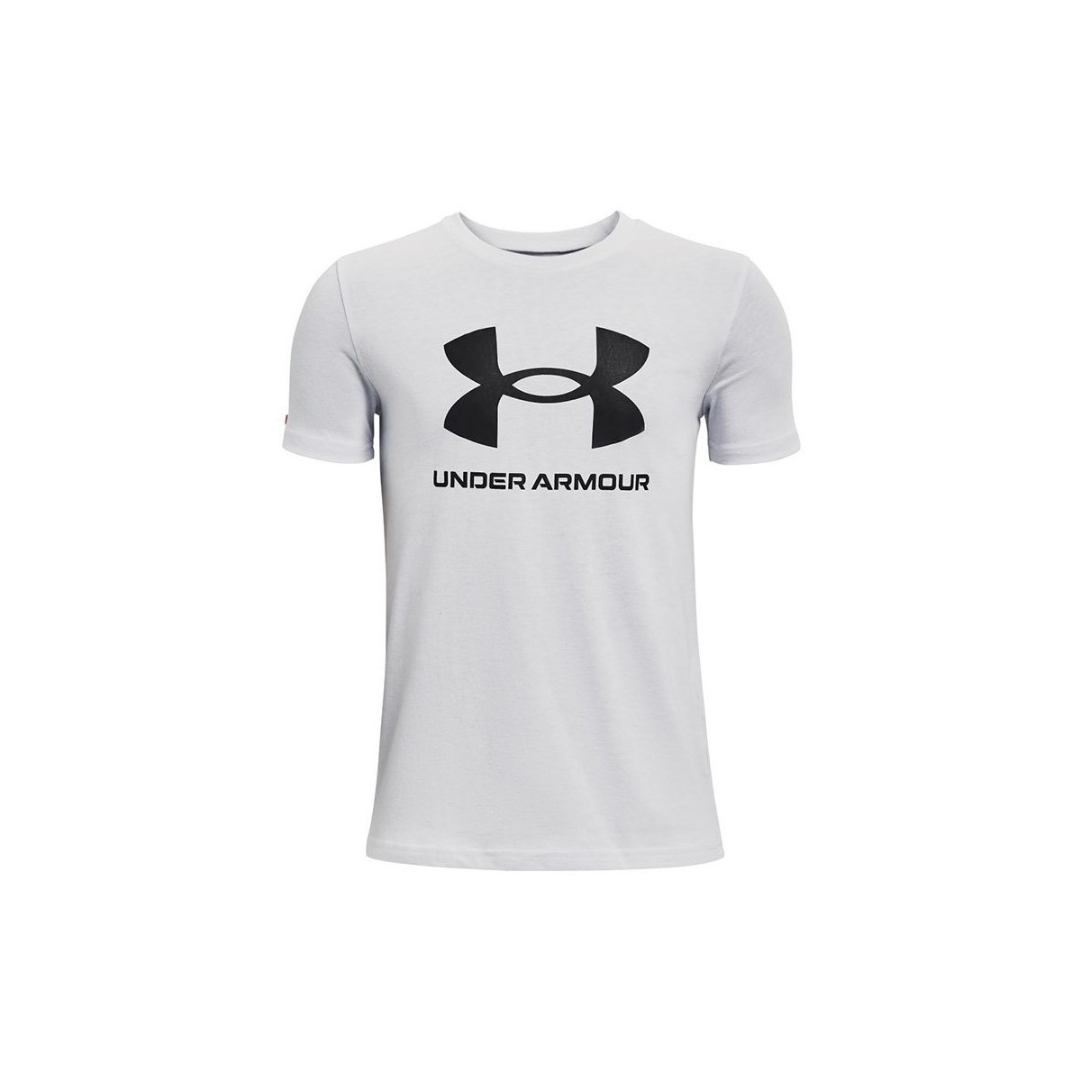 Vêtements Homme T-shirts manches courtes Under Armour Sportstyle Logo Blanc