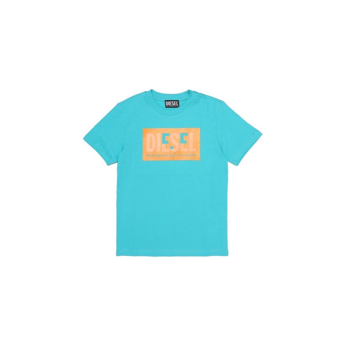 Vêtements Enfant T-shirts & Polos Diesel J00581 00YI9 TMILEY-K50K CERAMIC Bleu