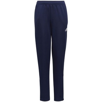 Vêtements Garçon Pantalons adidas Originals Entrada 22 Bleu marine