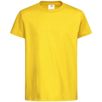 Vêtements Enfant Crew Neck Short Sleeve Tulle T-Shirt Stedman  Multicolore