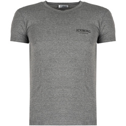 Vêtements Homme T-shirts manches courtes Iceberg ICE1UTS02 Gris