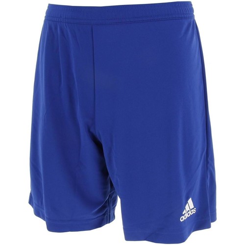 Vêtements Homme Shorts / Bermudas adidas Originals Ent22 short bleuroy foot  tenabl Bleu