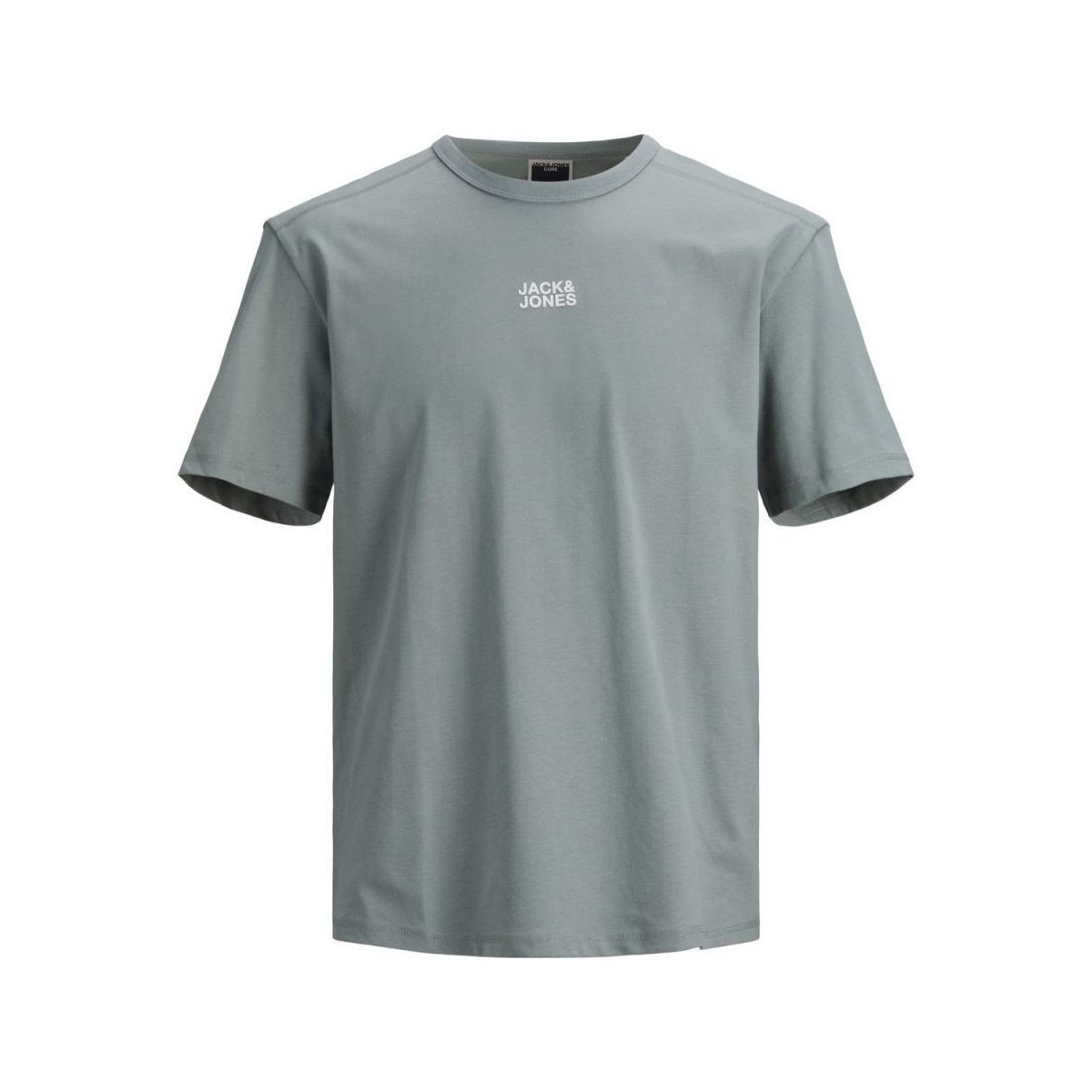 Vêtements Garçon T-shirts & Polos Jack & Jones 12195179 CLASSIC TEE-SLATE GRAY Gris